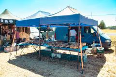 IMG_3649-2-Copy