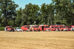 IMG_3651-2-Copy