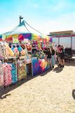 IMG_4550-2-Copy