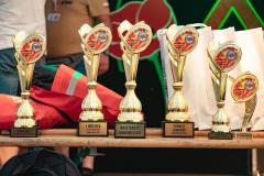 IMG_4866-2-Copy